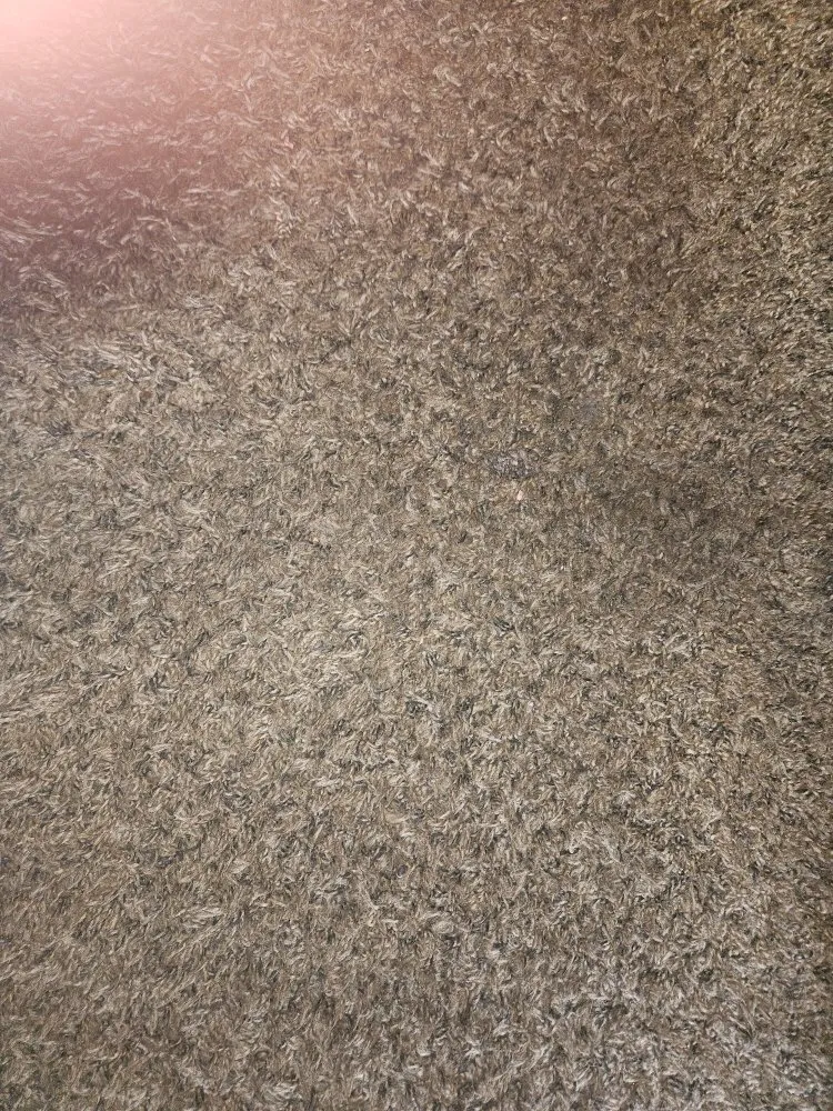 Expert lawn care service in Longview, TX - Agged Out Cleaning Services