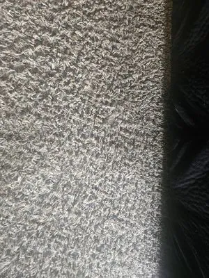 Agged Out Cleaning Services Logo