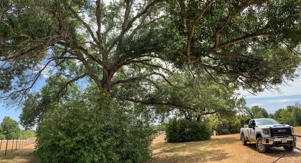 Local outdoor landscaping experts serving College Station, TX - Aggieland Green