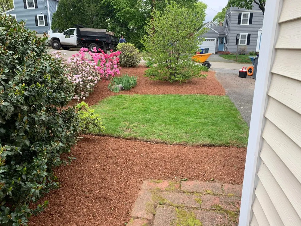 Expert yard cleanup service for outdoor upgrades across Beverly, MA - Aggy's Landscaping