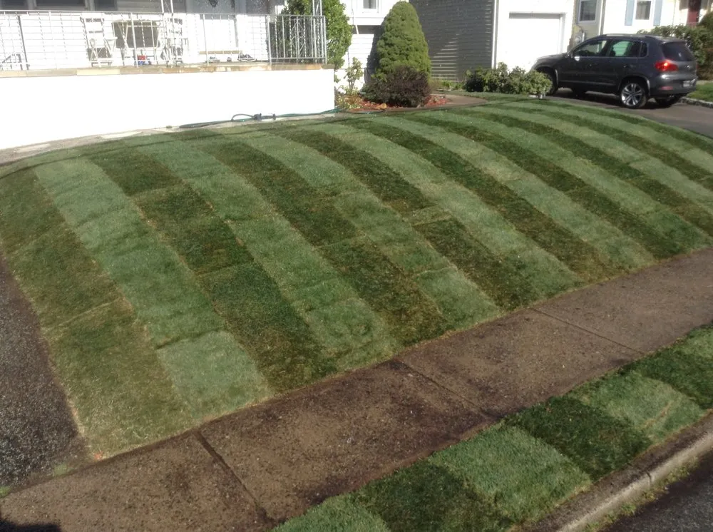 Trusted yard maintenance near you in Little Ferry, NJ by Agila C Services Landscape & Design