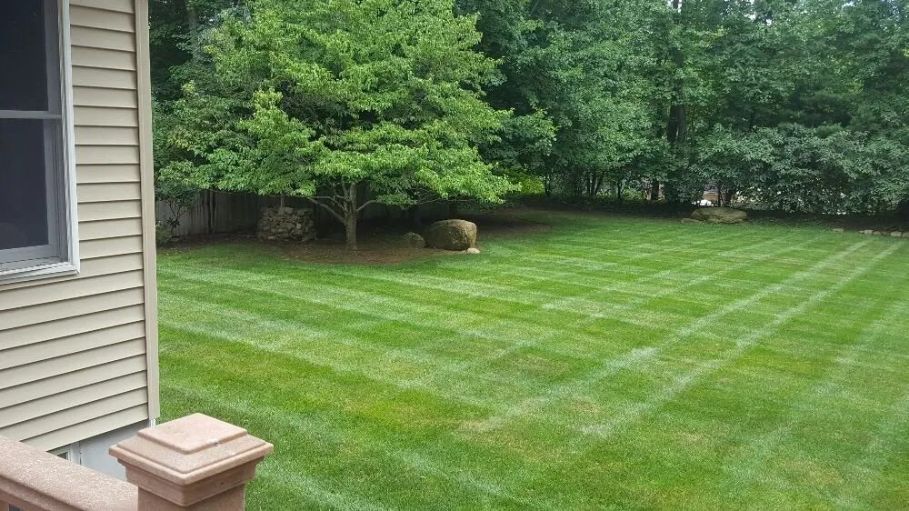 Local landscape installation in Little Ferry, NJ by Agila C Services Landscape & Design