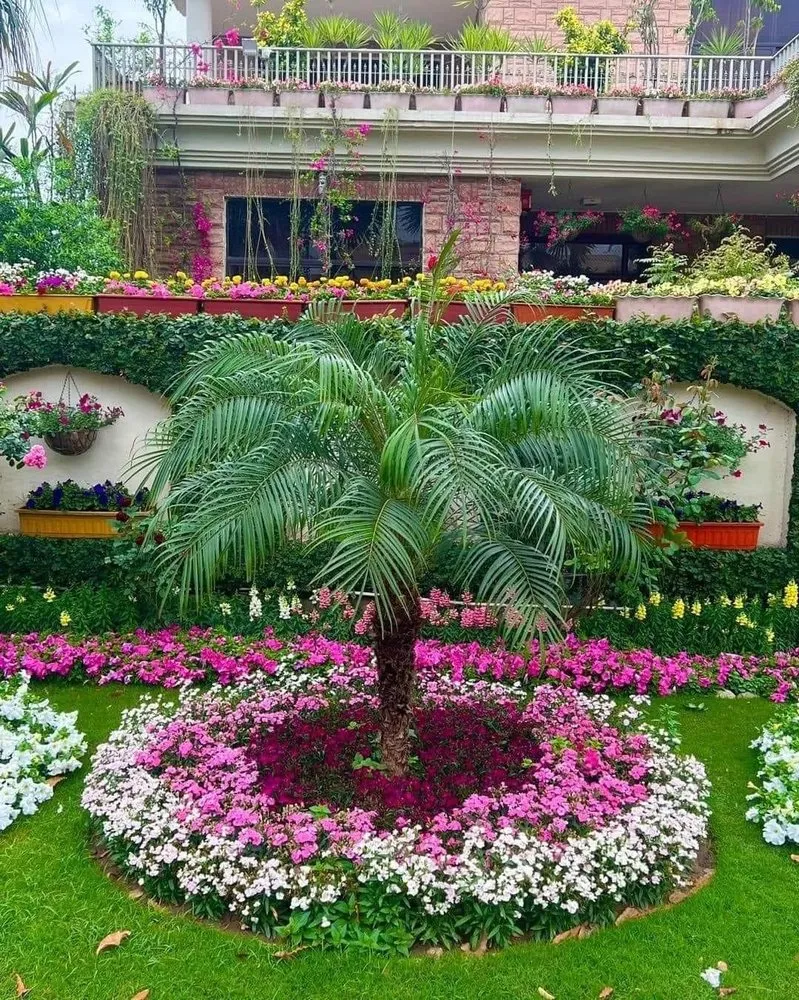 Professional outdoor landscaping experts serving Daytona Beach, FL - Agios Lawns