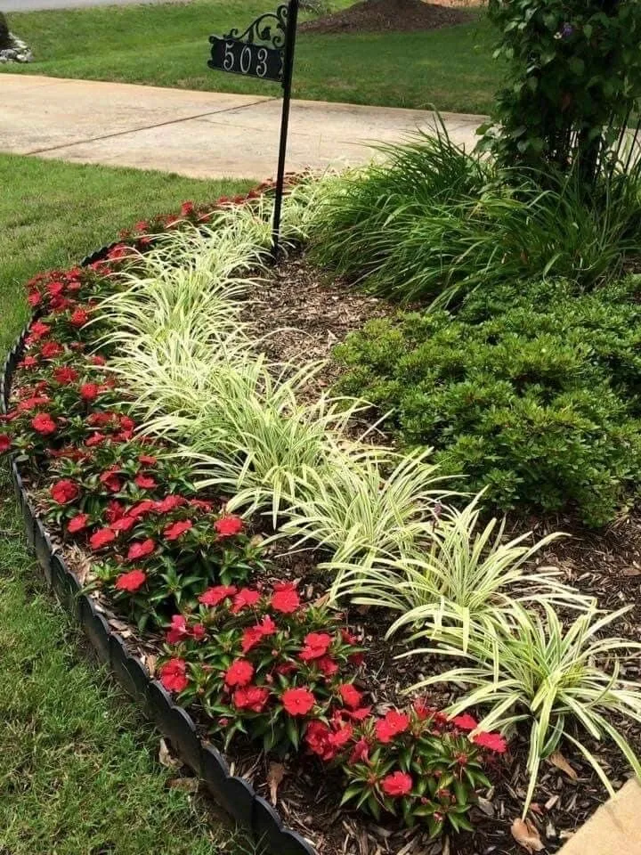 Local landscape installation in Daytona Beach, FL by Agios Lawns