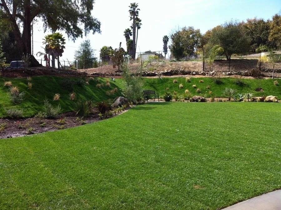 Professional outdoor landscaping in Daytona Beach, FL by Agios Lawns