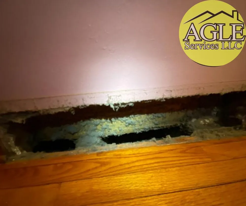 Local yard maintenance for beautiful yards across Aurora, IL - AGLE Services