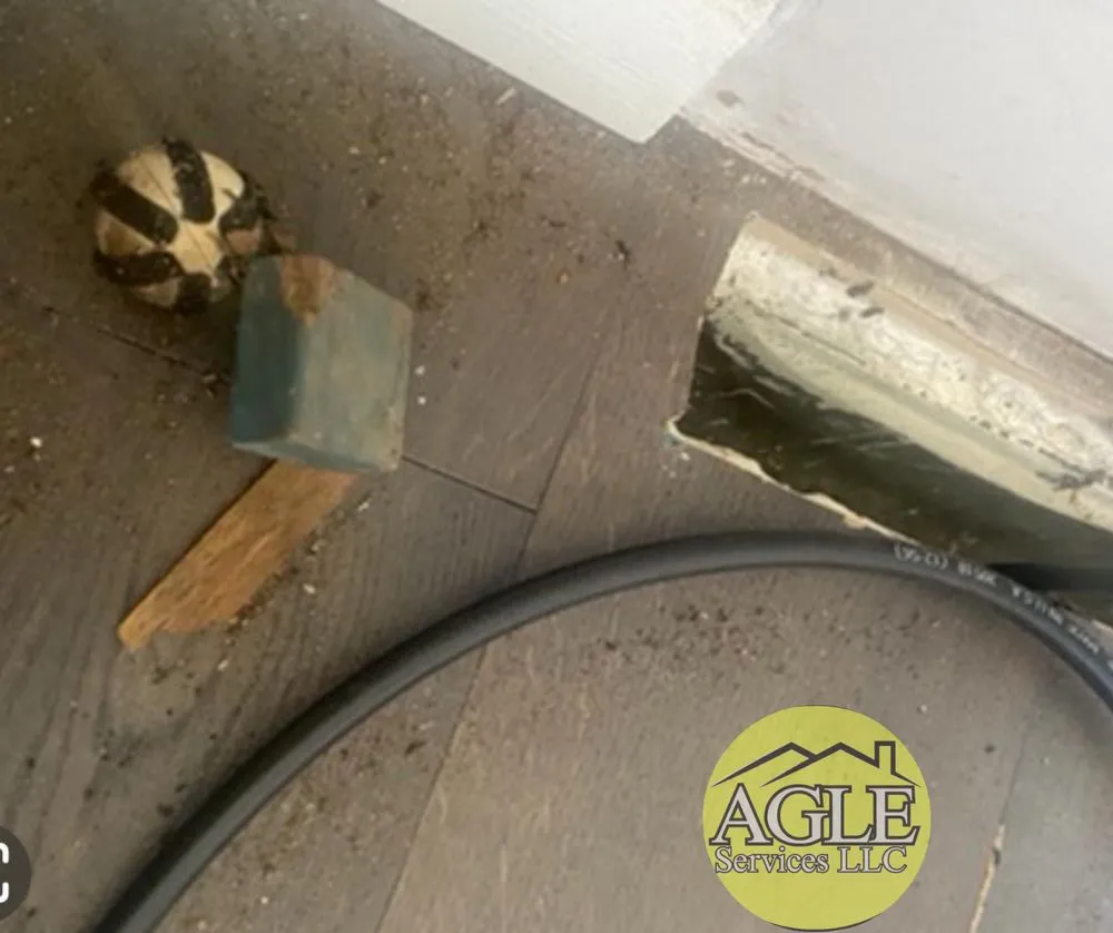 Expert lawn mowing service in Aurora, IL - AGLE Services