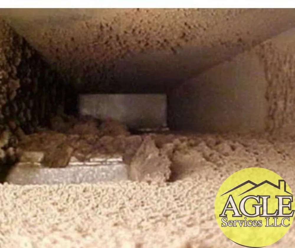 Custom lawn care service near you in Aurora, IL by AGLE Services