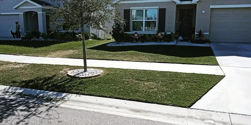 Affordable residential landscaping in Tampa, FL by Aglim Enterprise