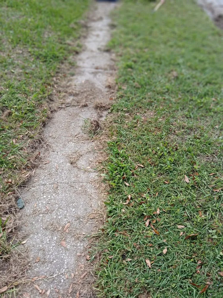 Expert lawn mowing service in Tampa, FL by Aglim Enterprise