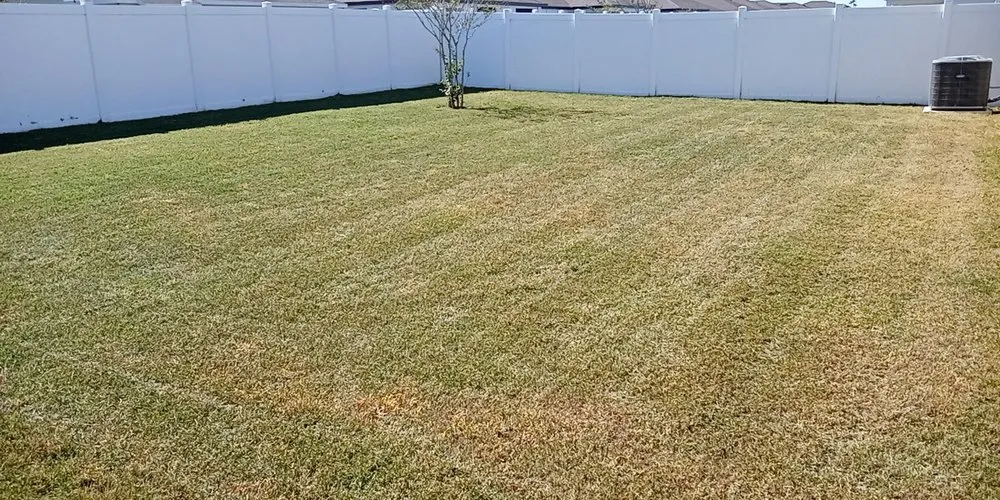 Local landscape installation experts serving Tampa, FL - Aglim Enterprise