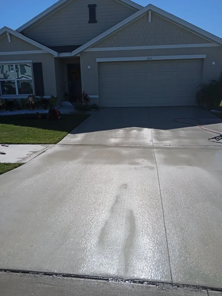 Top-rated yard cleanup service in Tampa, FL - Aglim Enterprise