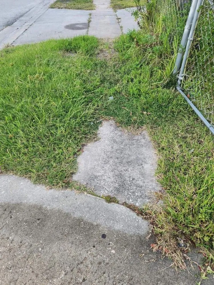 Local landscape design for beautiful yards across Tampa, FL - Aglim Enterprise