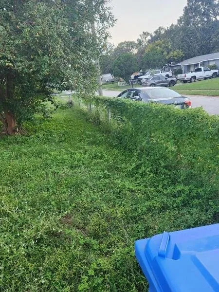 Custom landscape installation in Tampa, FL - Aglim Enterprise