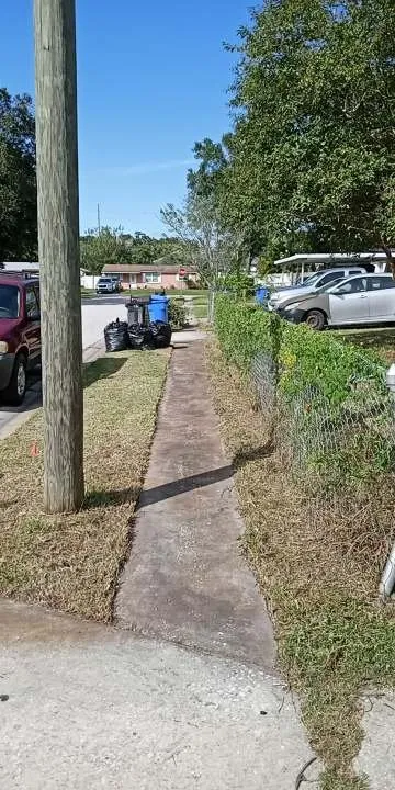 Expert garden landscaping in Tampa, FL by Aglim Enterprise