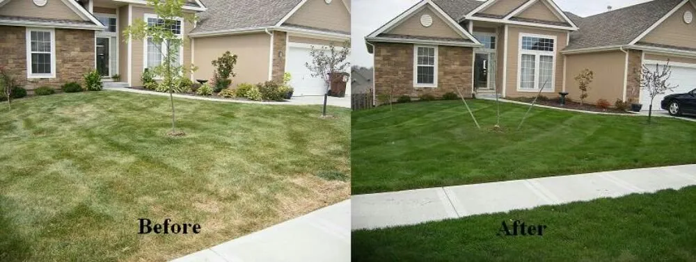 Trusted landscaping services experts serving Lompoc, CA - AGM landscape