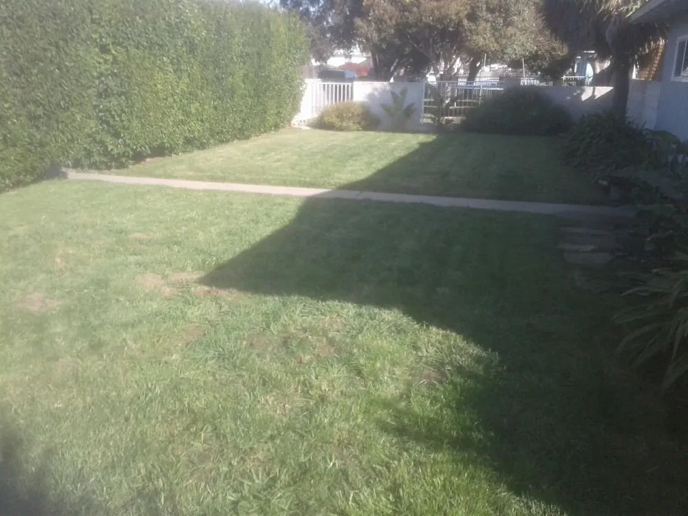 Custom landscape design for year-round maintenance across Lompoc, CA - AGM landscape