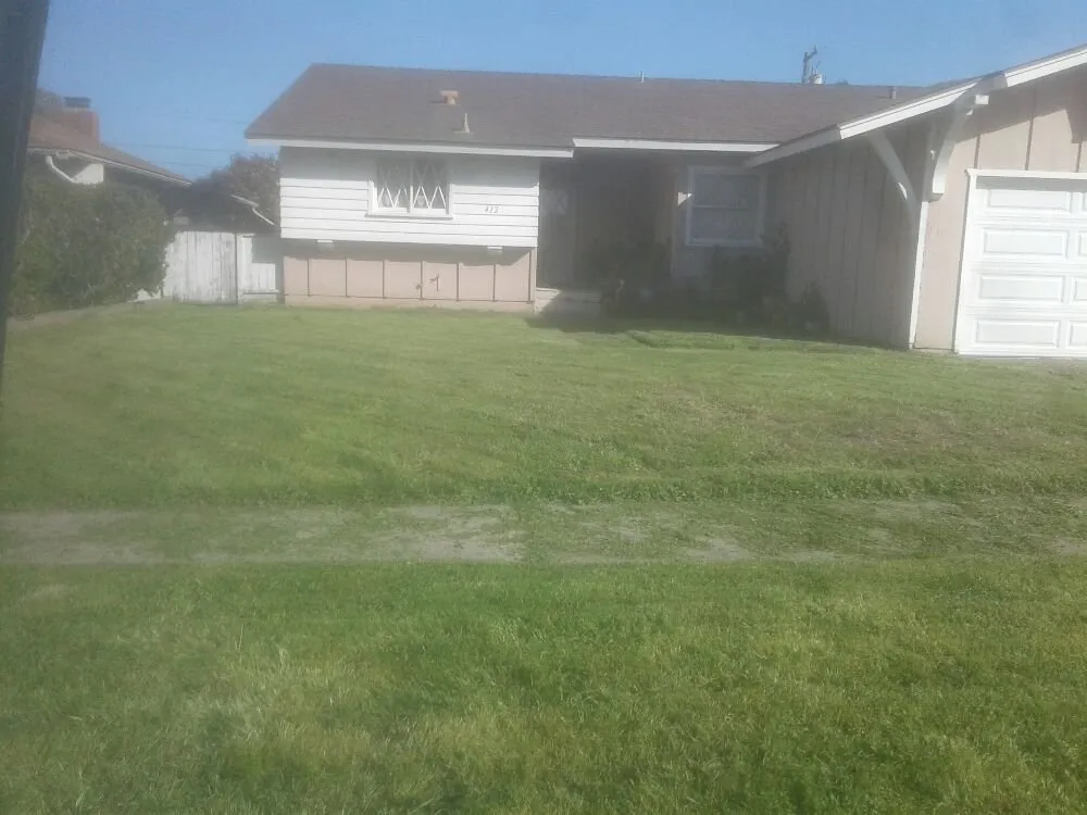 Affordable yard cleanup service in Lompoc, CA by AGM landscape