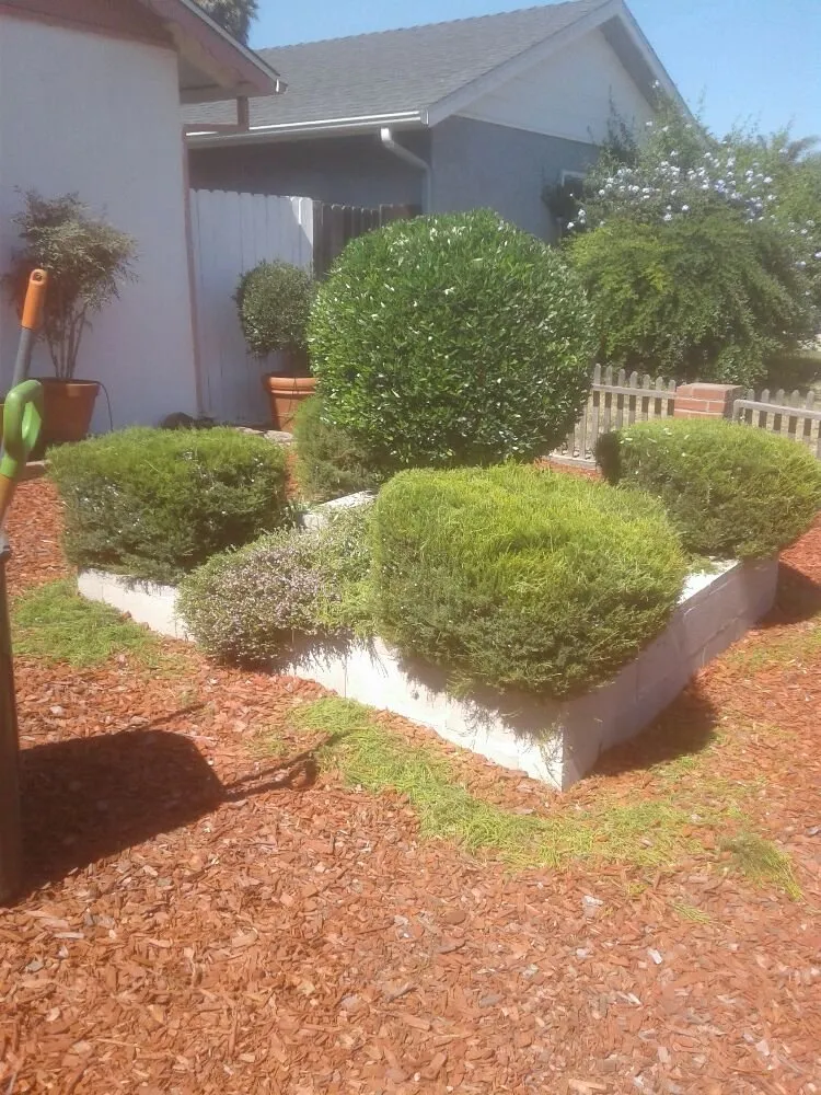 Top-rated lawn care service for beautiful yards across Lompoc, CA - AGM landscape