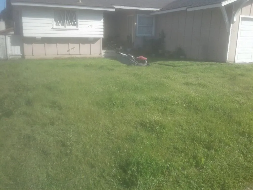 Top-rated yard cleanup service in Lompoc, CA by AGM landscape