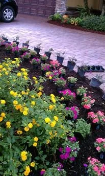 Custom landscaping services experts serving Fort Myers, FL - AGM Landscaping and Pool