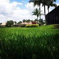 Reliable landscape design with custom design in Fort Myers, FL by AGM Landscaping and Pool