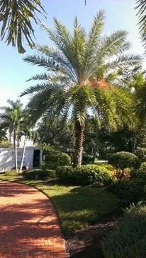Trusted yard cleanup service experts serving Fort Myers, FL - AGM Landscaping and Pool