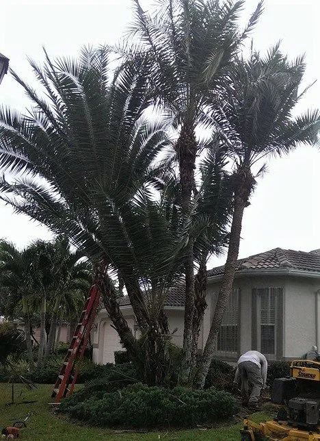 Top-rated residential landscaping in Fort Myers, FL by AGM Landscaping and Pool