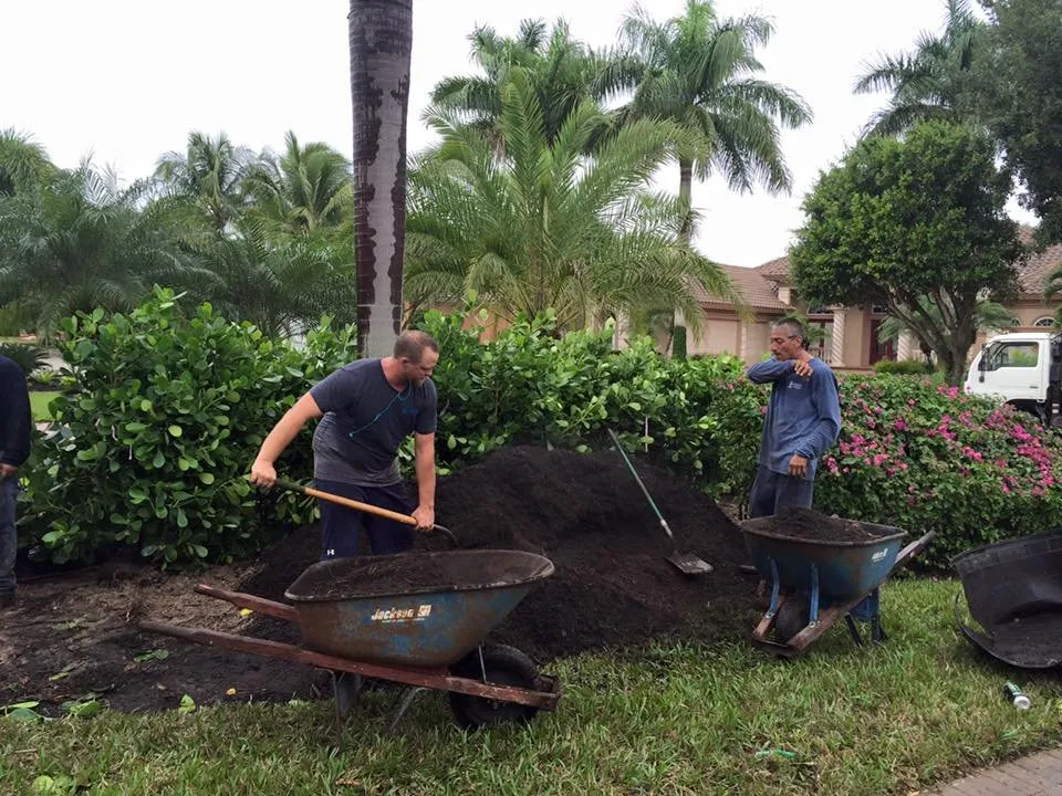Expert outdoor landscaping experts serving Fort Myers, FL - AGM Landscaping and Pool
