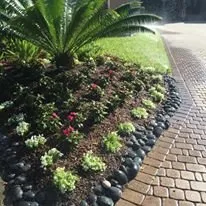 Professional landscape installation in Fort Myers, FL by AGM Landscaping and Pool