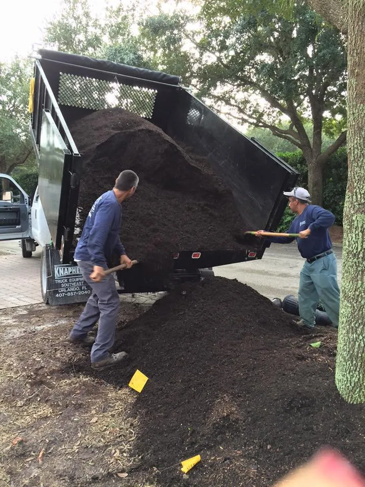 Local landscape design experts serving Fort Myers, FL - AGM Landscaping and Pool