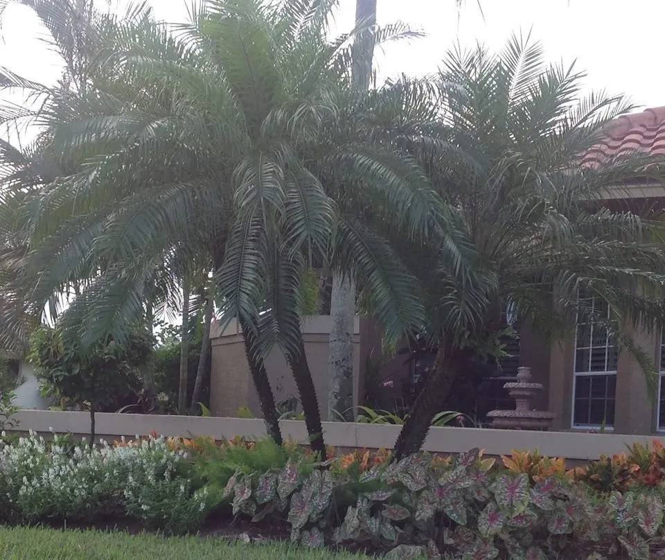 Reliable garden landscaping in Fort Myers, FL - AGM Landscaping and Pool