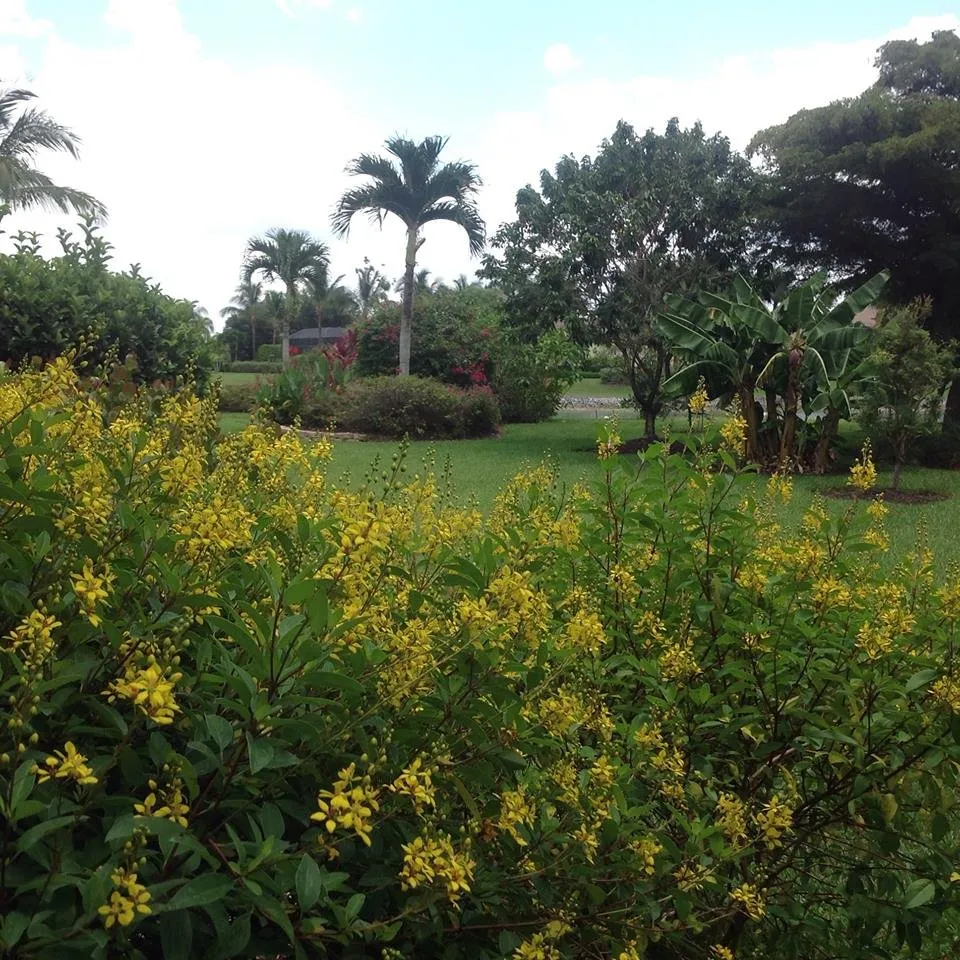 Trusted residential landscaping in Fort Myers, FL by AGM Landscaping and Pool