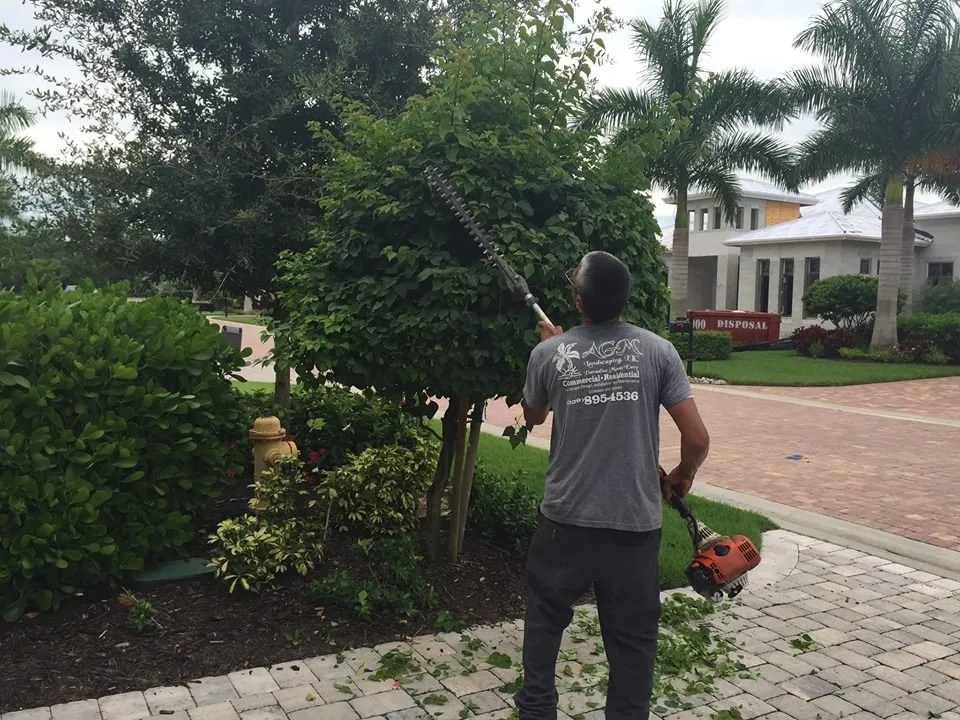 Trusted yard cleanup service in Fort Myers, FL by AGM Landscaping and Pool