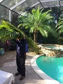 Professional yard cleanup service in Fort Myers, FL - AGM Landscaping and Pool