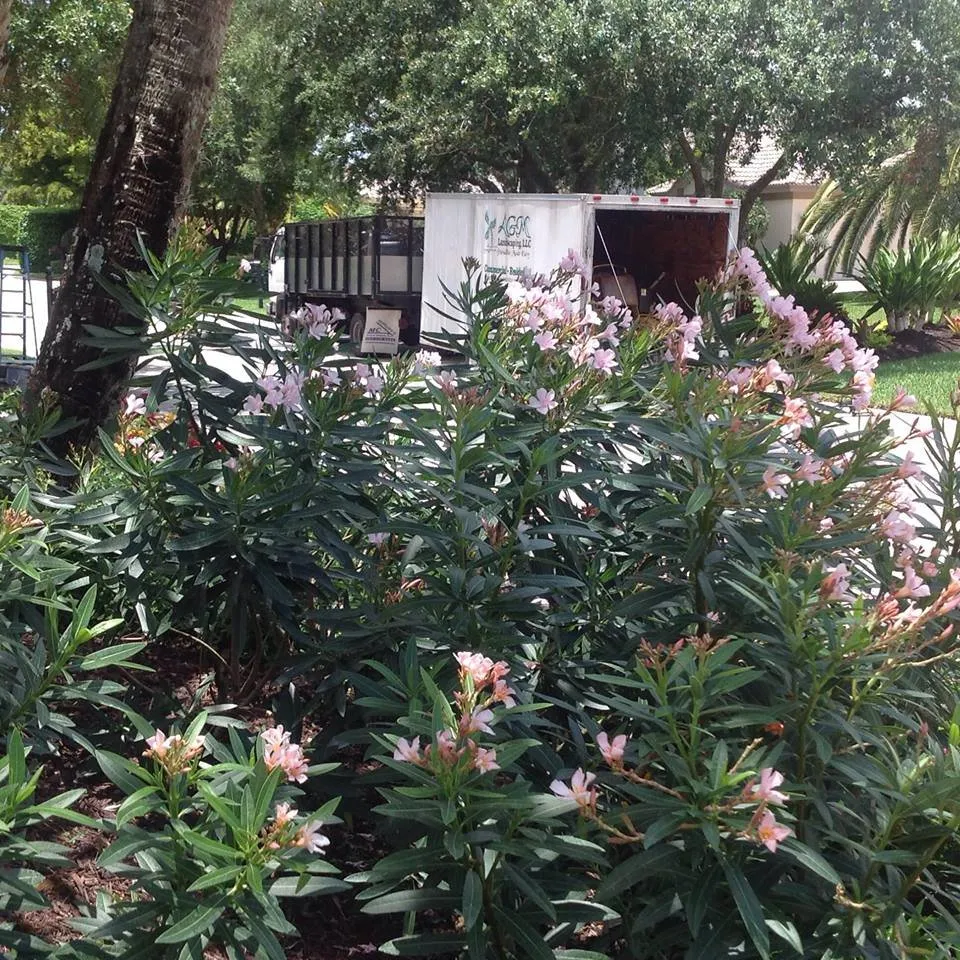 Custom lawn care service in Fort Myers, FL - AGM Landscaping and Pool