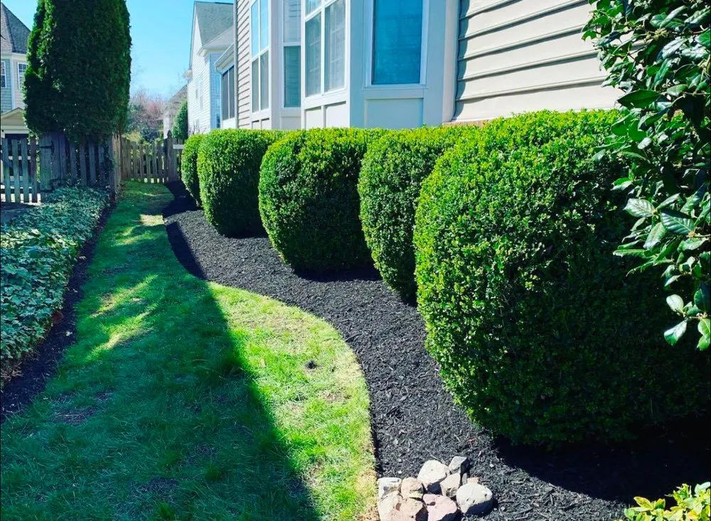 Affordable landscape design in Chester, PA by AGM Landscaping