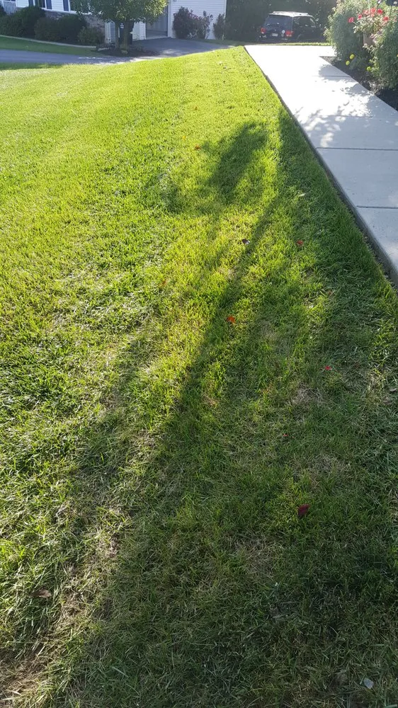 Reliable yard cleanup service for outdoor upgrades in Christiana, PA by AGM Landscaping