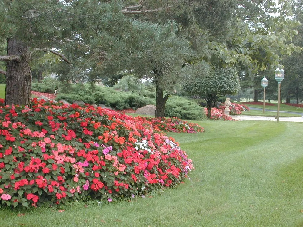 Custom landscape design in Marengo, IL - Agman