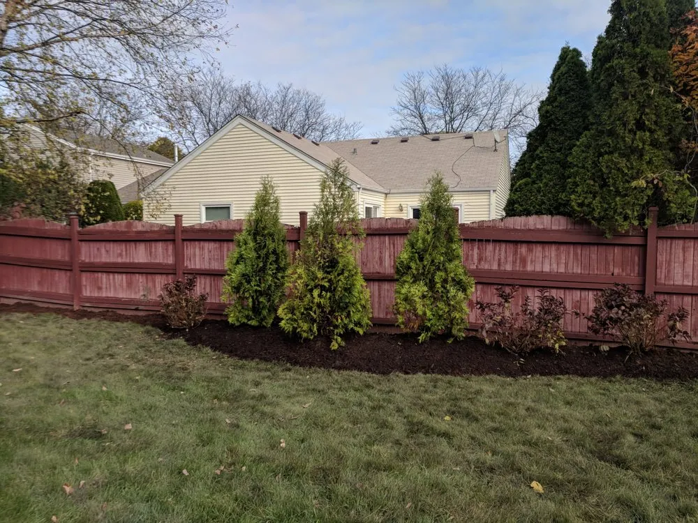 Reliable yard cleanup service in Marengo, IL by Agman