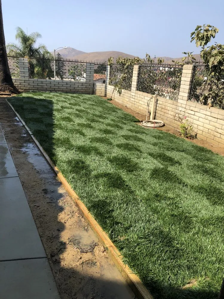 Reliable lawn care service for residential properties in Port Hueneme, CA by Agon Landscaping