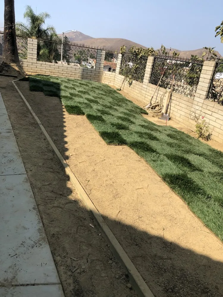 Reliable lawn care service near you in Port Hueneme, CA by Agon Landscaping
