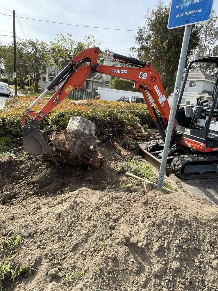 Professional lawn mowing service in Port Hueneme, CA by Agon Landscaping