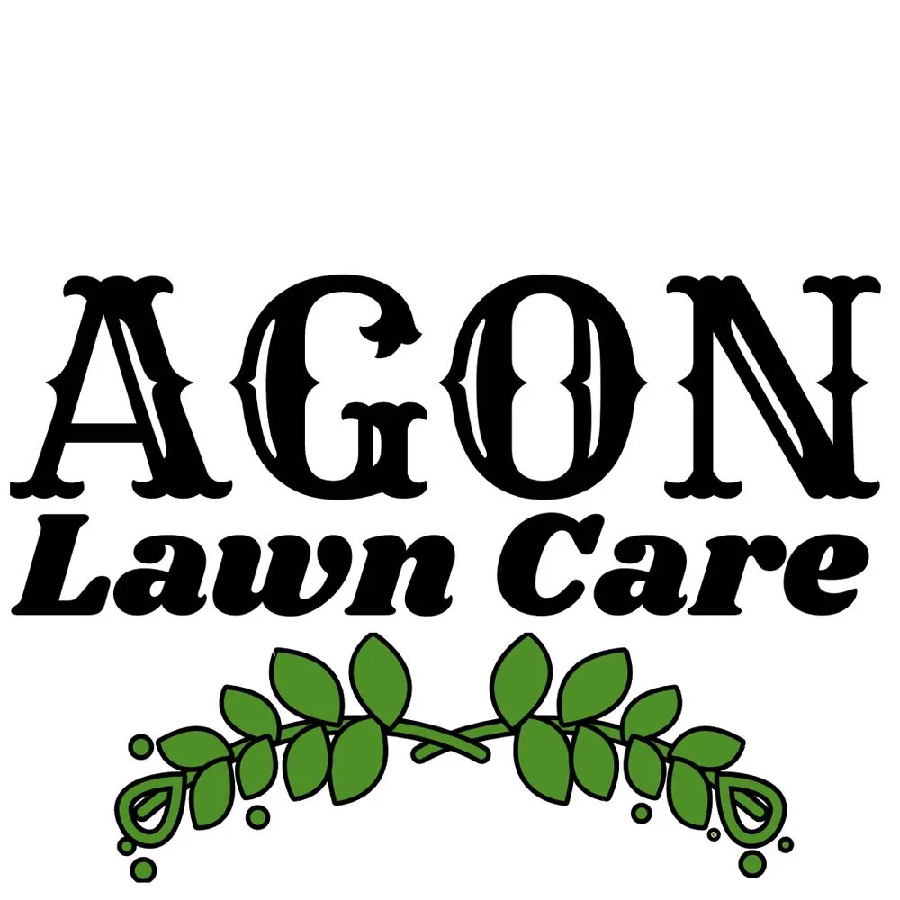 Top-rated yard cleanup service in Los Angeles, CA - Agon Lawn Care