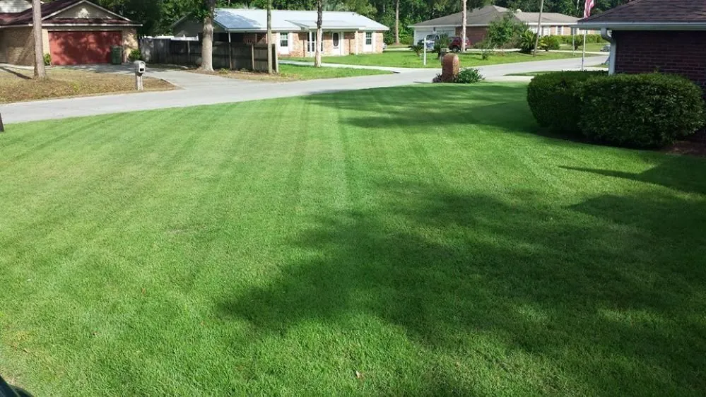 Professional yard cleanup service in Panama City, FL by Agorist Lawn & Land