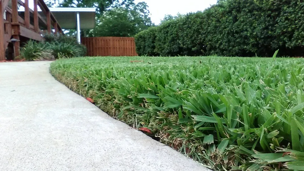 Professional residential landscaping for outdoor upgrades in Panama City, FL by Agorist Lawn & Land