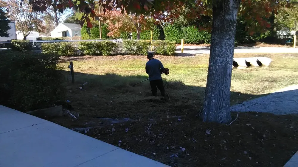 Local outdoor landscaping in Panama City, FL - Agorist Lawn & Land