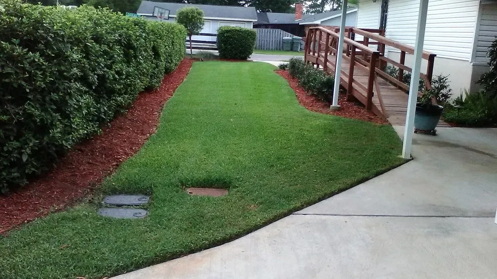 Expert lawn care service in Panama City, FL by Agorist Lawn & Land