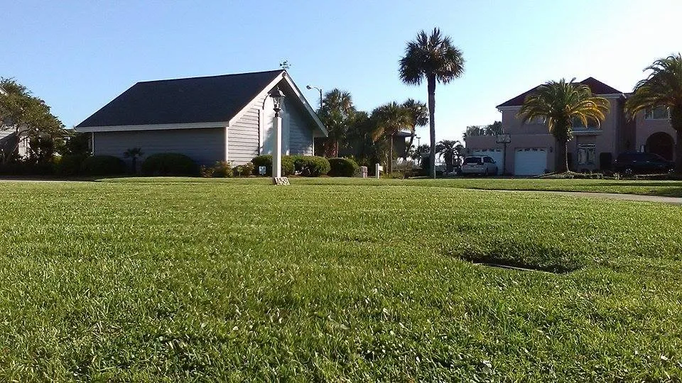 Top-rated yard maintenance experts serving Panama City, FL - Agorist Lawn & Land
