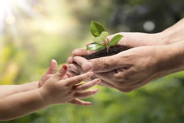 Agosto Environmental Experts Logo